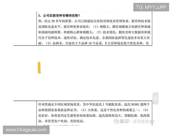 凯发·k8国际：探索其在国际市场中的竞争优势与发展前景